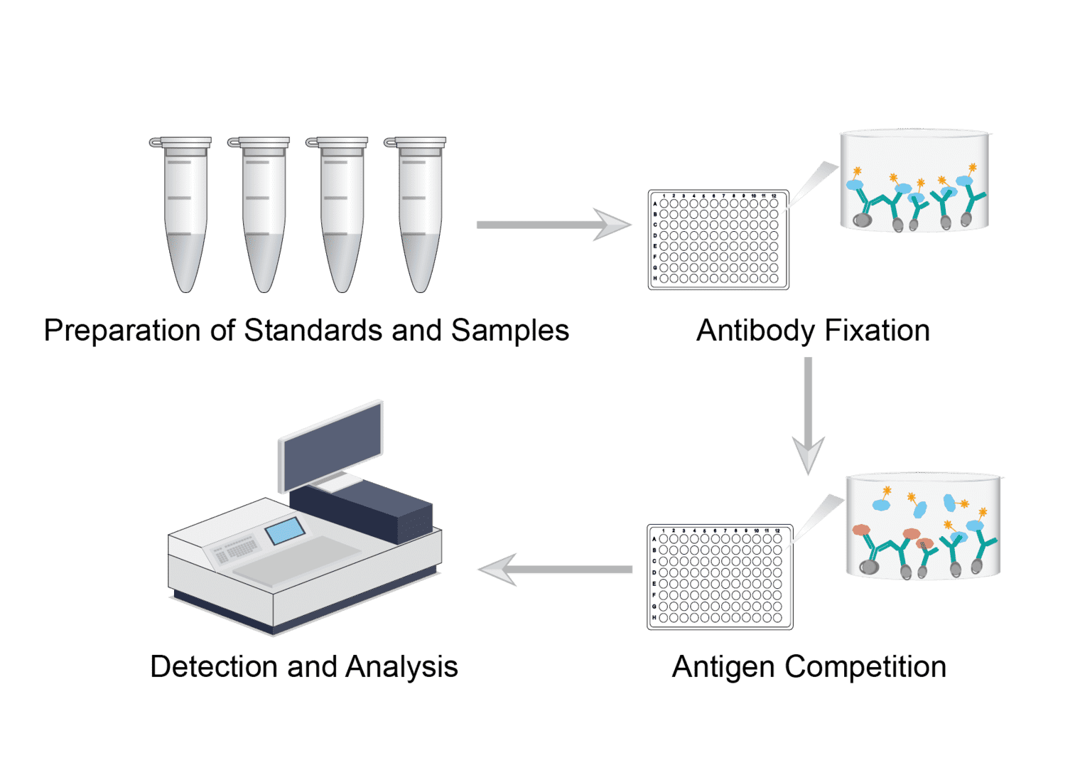 BIOCHEMICAL PRINCIPLES BEHIND HORMONE LABORATORY TESTS BIOCHEMICAL PRINCIPLES BEHIND HORMONE LABORATORY TESTS