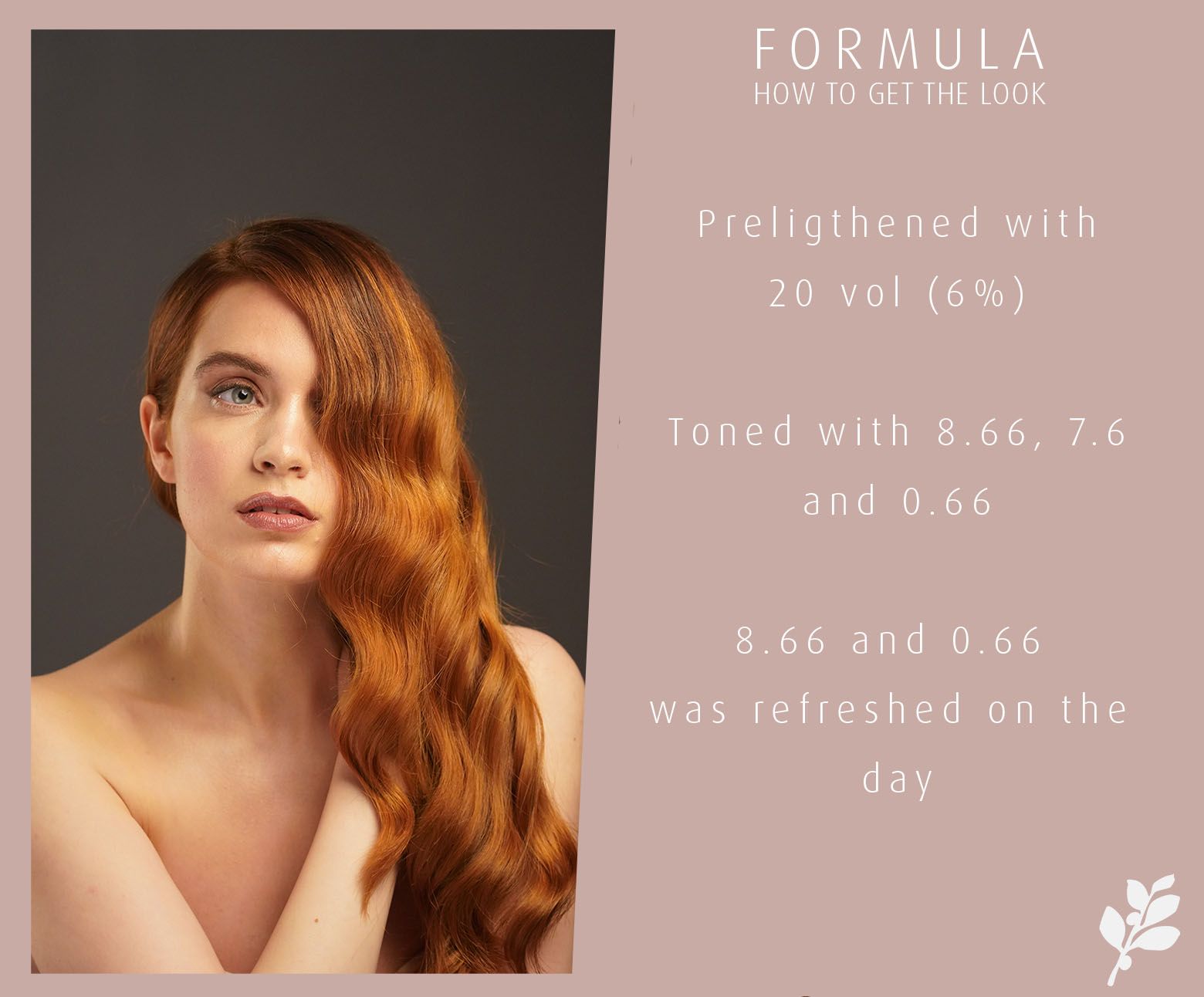 FORMULA, DAVEY DAVEY