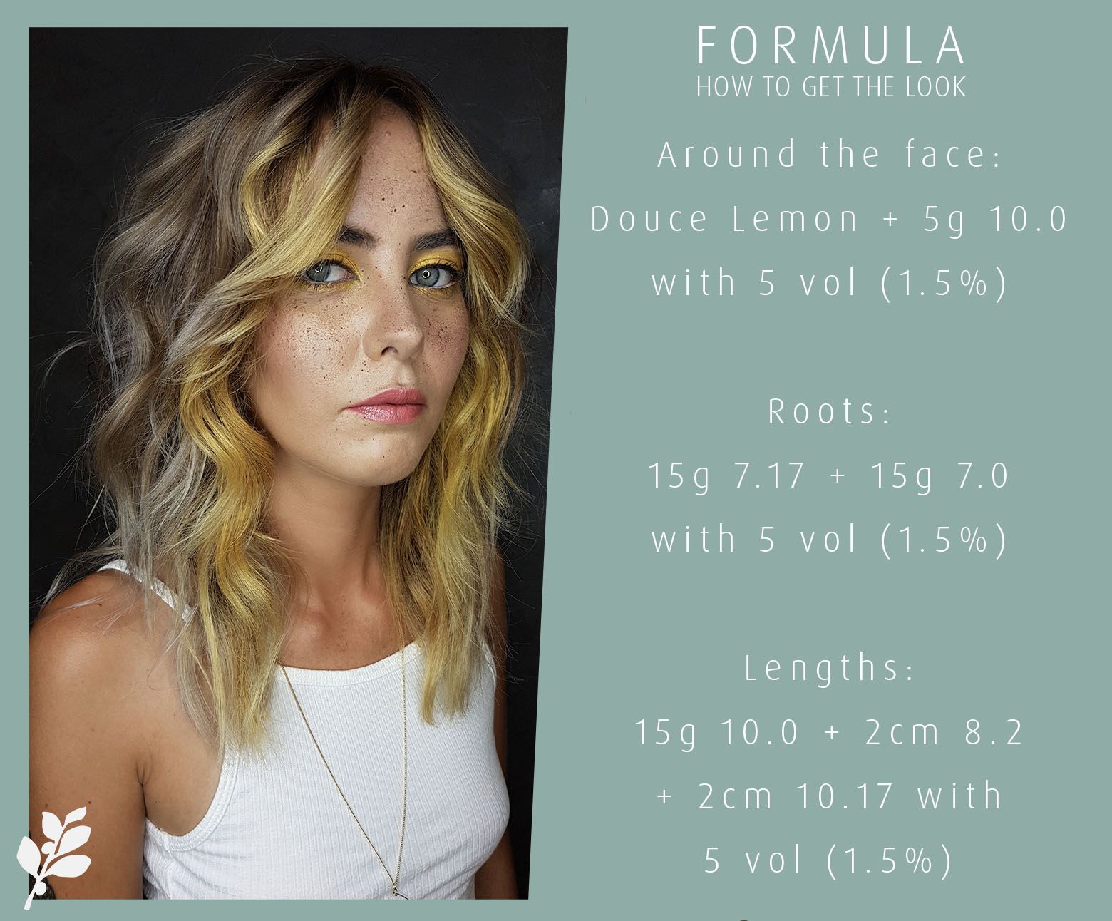 FORMULA, ZASA