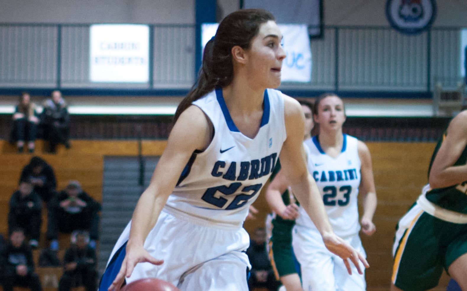 Senior Brittany Sandone added 16 points to the scoreboard in Saturday's win against Marywood. (Dan Luner/Photo Editor)