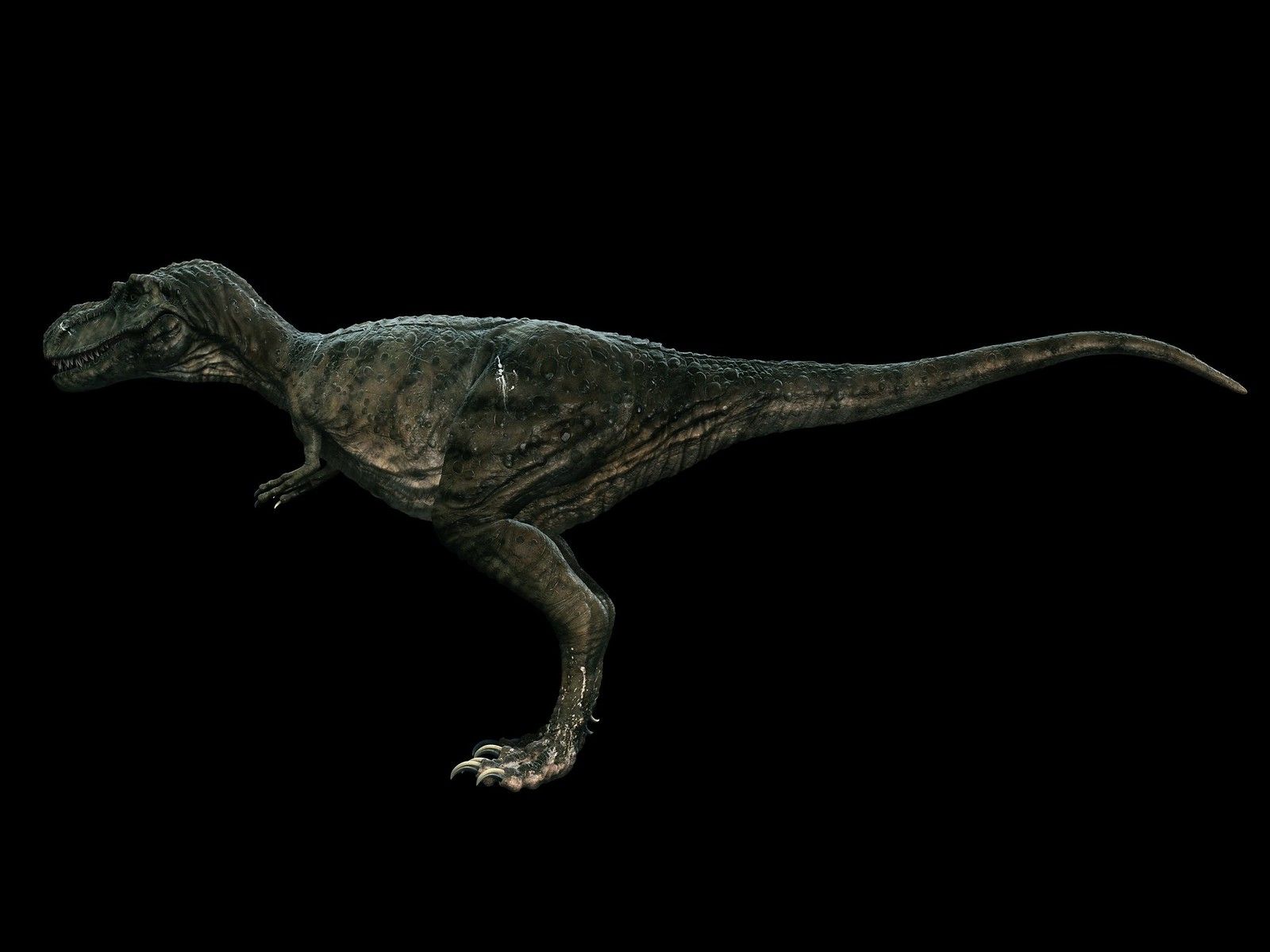 wwd gorgosaurus