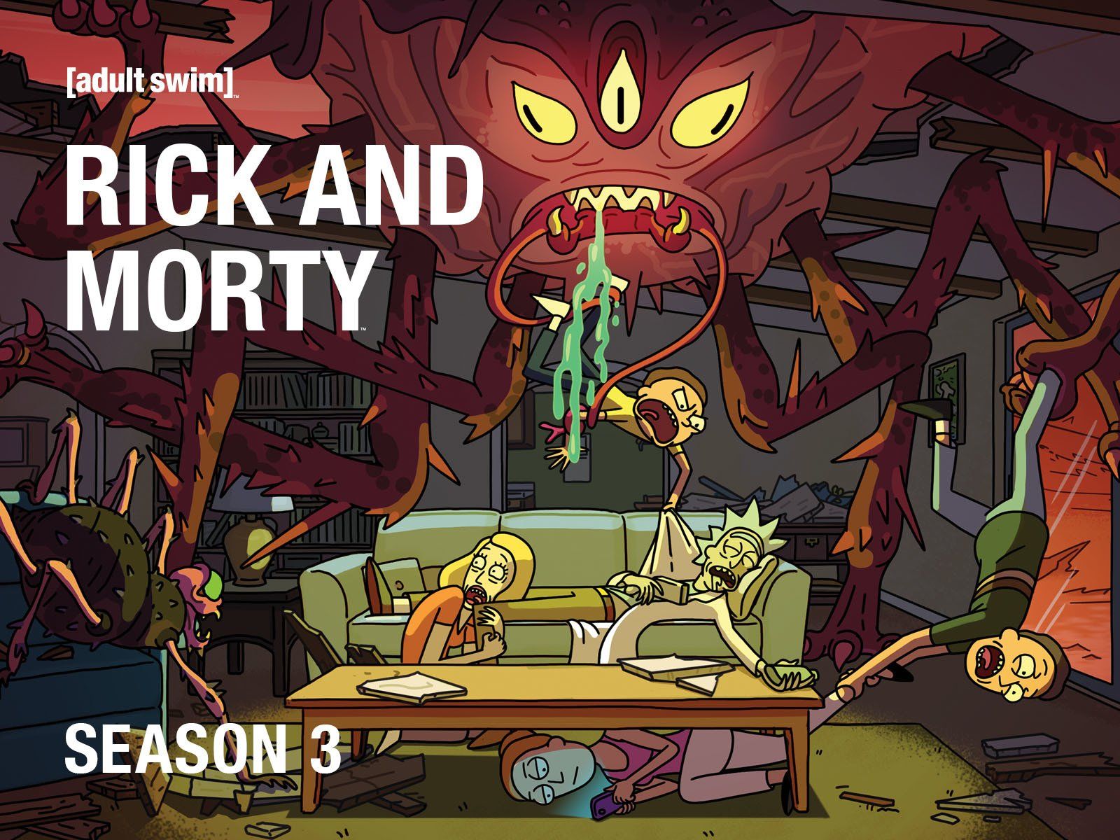 The "Rick and Morty" season three finale left viewers with mixed feelings. Photo from Amazon.