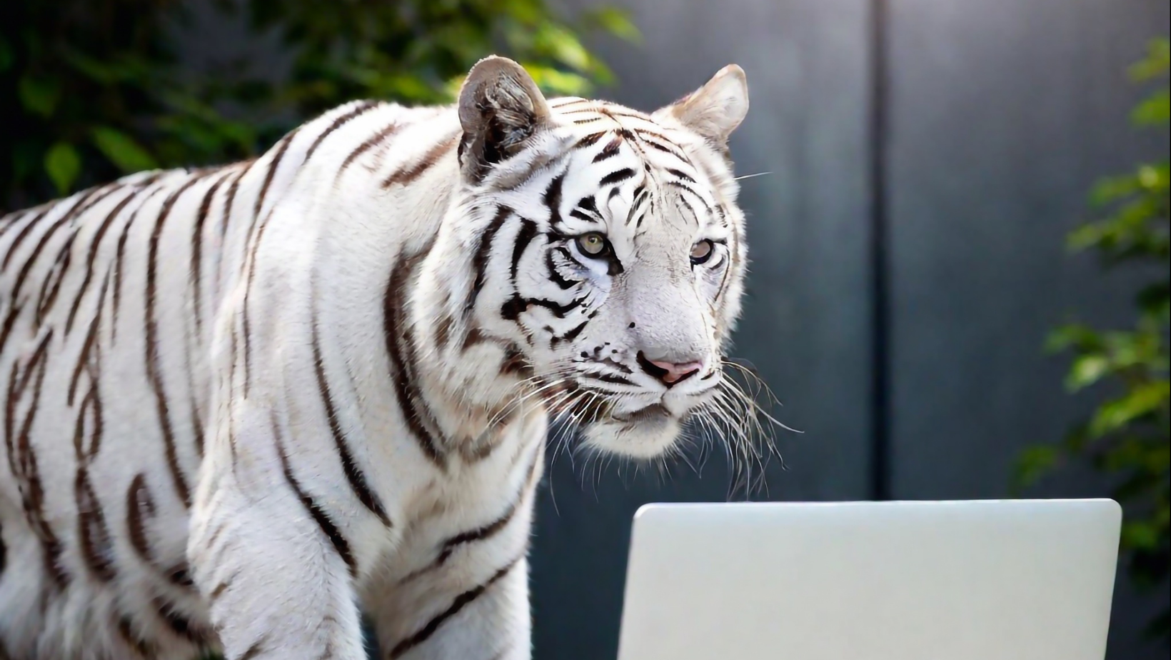 Blogging to grow an email list