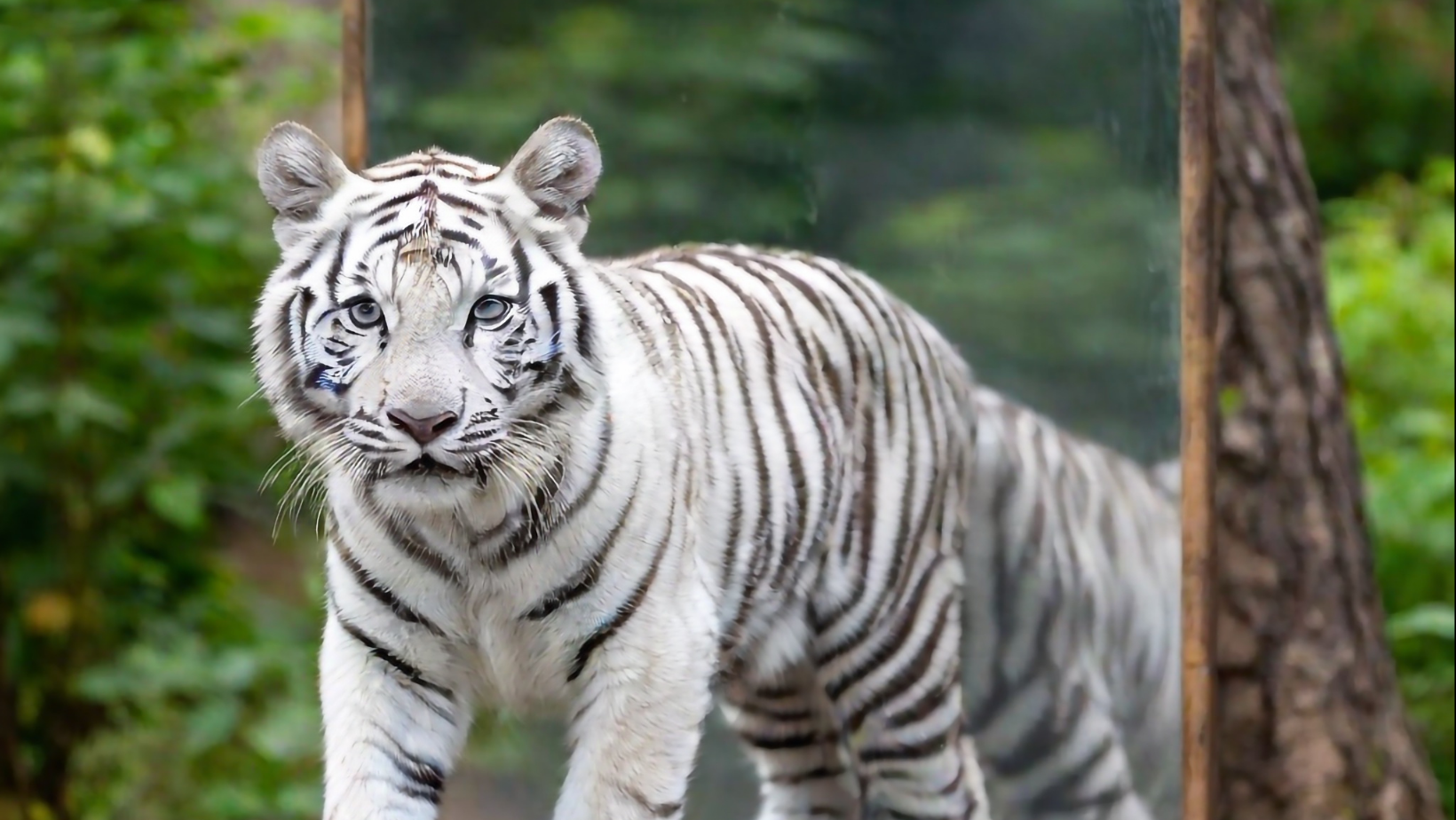 How a Business Makes Money Blogging