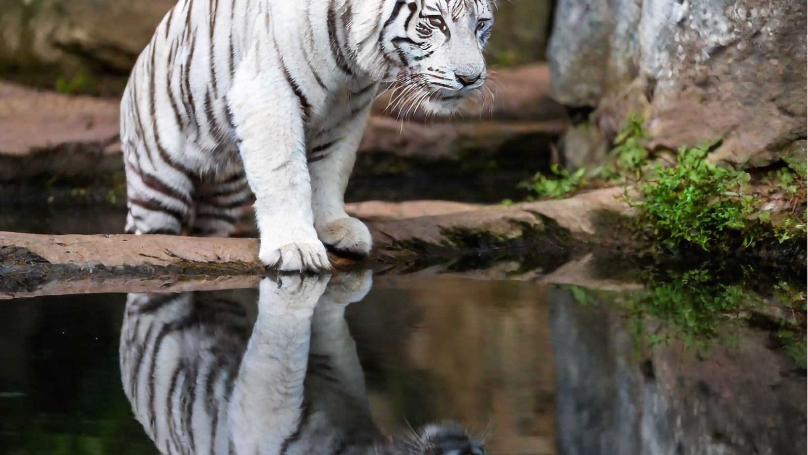 Systeme.io vs. Other Platforms Why Marketers are Choosing It