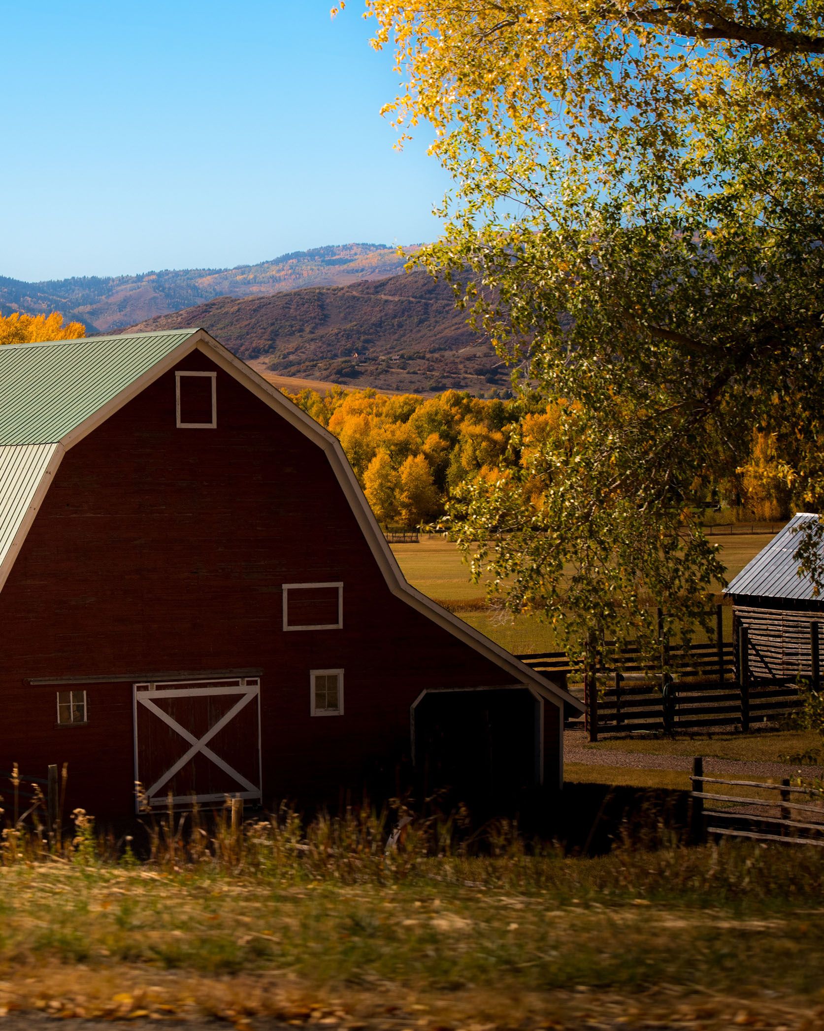 Organic farming NATULIQUE Vegan products