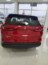 car Back