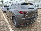 car Right Back