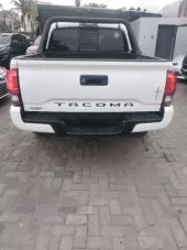 back