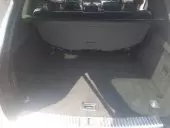 trunk