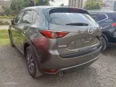 car Left Back