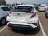 car Back
