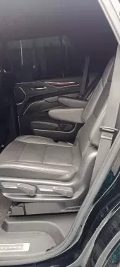 Interior Back