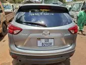 car Back
