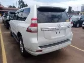 car Left Back
