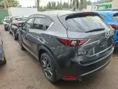 car Left Back