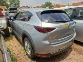 car Left Back