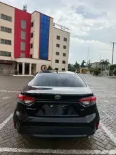 car Back