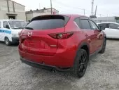 car Left Back