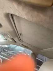 interiorBack