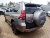 car Left Back