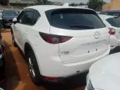 car Left Back