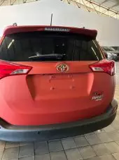back