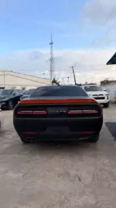 back