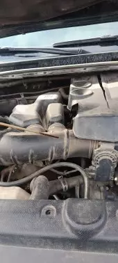 Engine Oil Damage 1