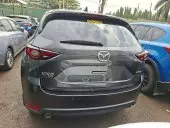 car Back