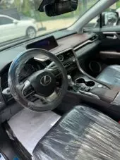 interiorBack