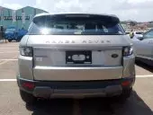 car Back