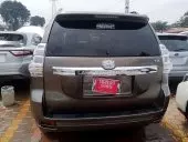 car Back