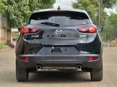 back