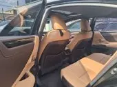 interiorBack