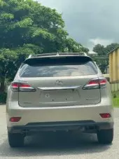 back