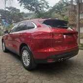back