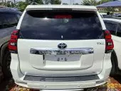 car Back