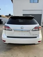 back