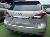 back