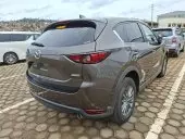 car Left Back
