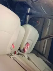 Interior Back