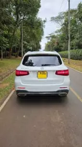 back