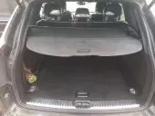 trunk