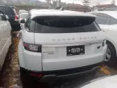 car Back