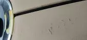 Steering Damage 1