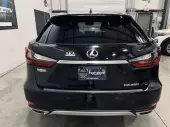 back