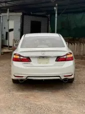 back