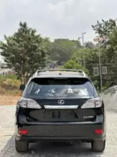 back
