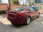 car Back